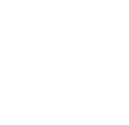 Website of the Year nomination badge