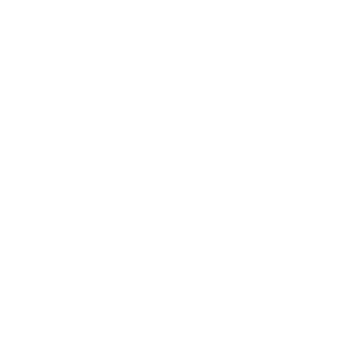 Website of the Year nomination badge